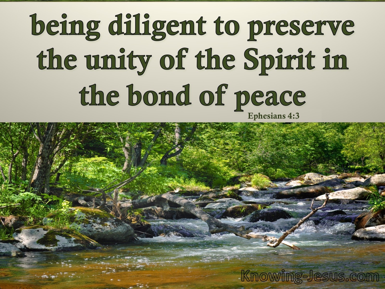 Ephesians 4:3 The Unity Of The Spirit (green)